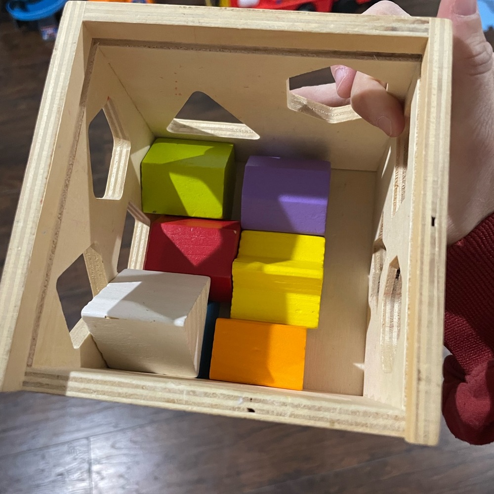 Winnie the Pooh Shape Sorter